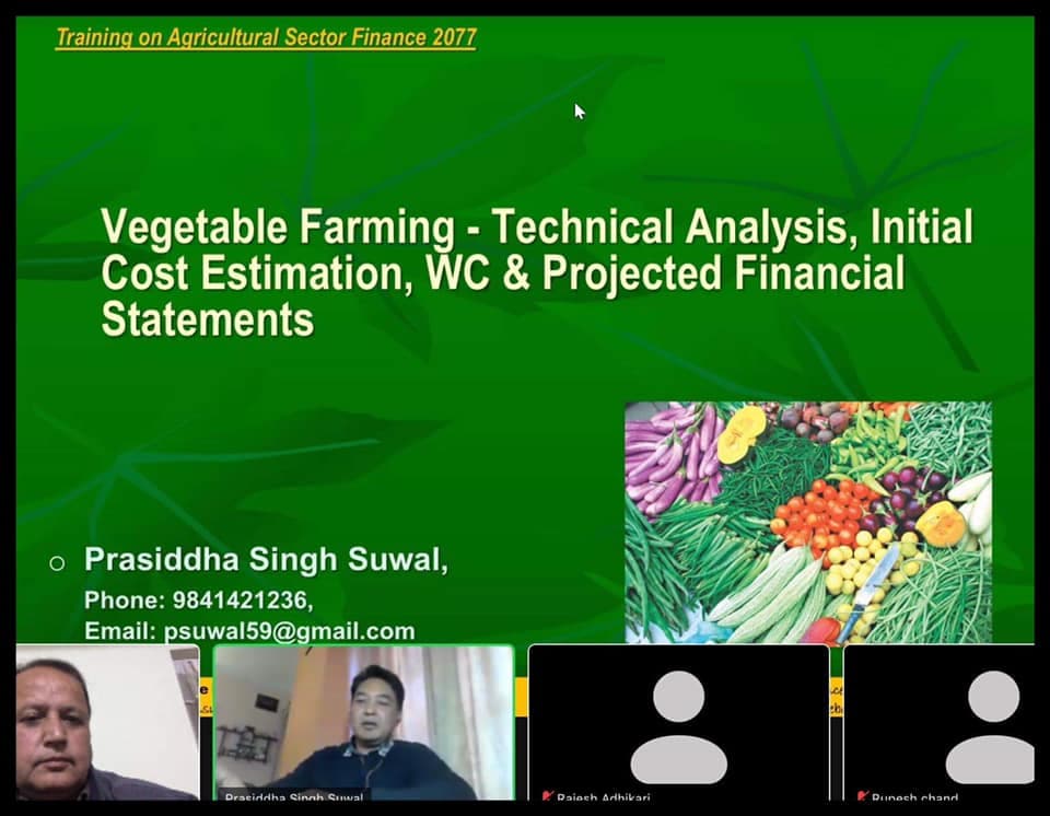 A virtual training presentation about vegetable farming
